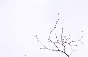 수교 50주년 기념, 한국 인도네시아 도자예술 교류전 개최