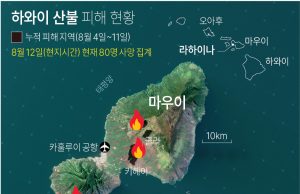 하와이 산불 사망자 114명으로 증가…실종자 “1천100∼1천300명”