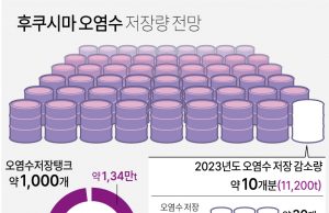 그래픽 한국사회 뉴스 보기(8월 다섯째 주)