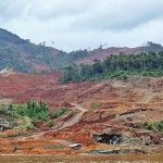 다이나믹디자인, 인도네시아 니켈 광산 지분 취득