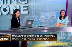 니켈협회, 수출대금 예치 의무화 정책 재고 촉구