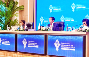 조코위 대통령, 발리 군도국가 포럼서 공통 협력 체제 논의