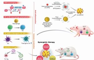 ‘류머티즘성 관절염’ 완치 가능성 열었다