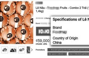 베트남서 ‘짝퉁’ 한국산 배 적발