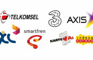 “이동통신 사업자 줄여 더 건전하고 효율적으로”