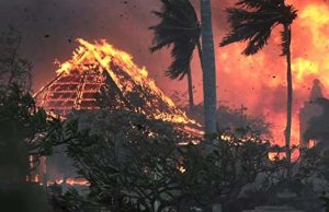 재앙이 된 기후변화