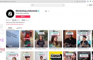 틱톡 인도네시아 운영 일시정지 해제…”요구 데이터 제출했다”