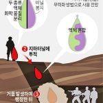스펀지폭탄