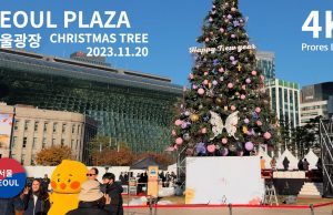 서울광장 크리스마스 트리 점등