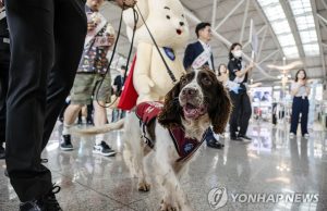우범국 다녀오면 마약검사 받는다…마약 오처방 의사는 자격정지