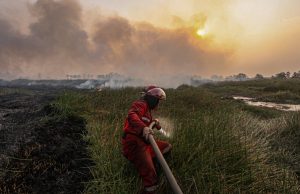 인도네시아 산불 사진 공모전 수상작 선정