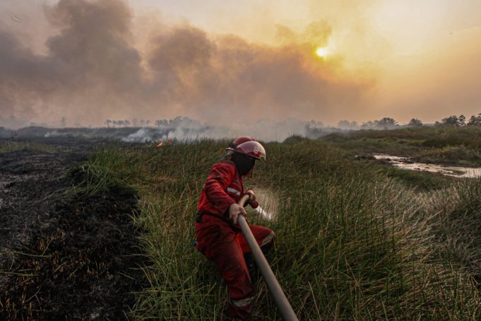 인도네시아 산불 사진 공모전 수상작 선정