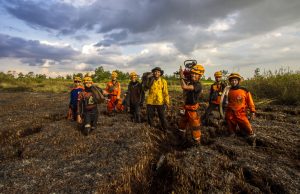 2천만 헥타르 산림 개간, 산림파괴 아닌 식량안보 위한 조치?