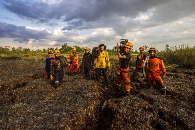 2천만 헥타르 산림 개간, 산림파괴 아닌 식량안보 위한 조치?