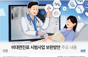 비대면 진료, 재외국민부터 허용… 여행객뿐만 아니라 이중 국적자까지
