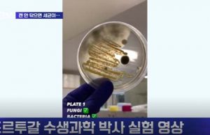 캔 음료수 입 부분, 예상보다 더러운 정도에 주의 요망