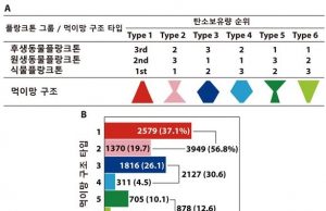 가장 높은 탄소 보유량 갖는 해양 플랑크톤 먹이망 구조 찾았다