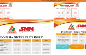 세계1위 니켈 생산 인니, 작년엔 목표 미달…”채굴권 승인 지연”