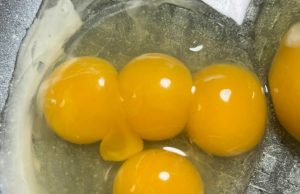 로또보다 어려운 노른자 4개 달걀 또 나와…”대박 예감”