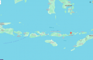 플로레스섬 르워토비 화산 분화로 발리 오가는 항공기 수십편 취소