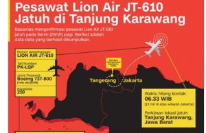 인니도 비행 중 구멍난 보잉737 맥스9 운항 중단키로