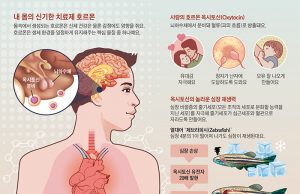 ‘사랑의 호르몬’ 옥시토신, 괴롭힘·패배 기억 형성에도 관여