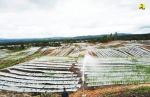 왜? 인도네시아 식량 산업화 단지 실패했나 !