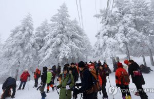 그래픽 한국사회 뉴스 보기(1월 셋째 주)