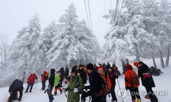 그래픽 한국사회 뉴스 보기(1월 셋째 주)