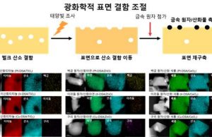 ‘폐플라스틱을 수소로’ 새 활용…세계 최고 효율 촉매 개발