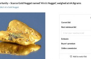 영국 들판서 17돈 금덩이 발견…수천만원대 ‘대박’