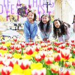 튤립과 함께 찾아온 봄