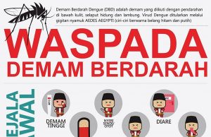 인도네시아의 뎅기열, 환경과 도시화가 부른 재난