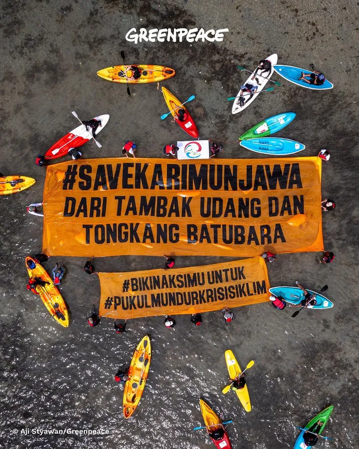 그린피스 인도네시아와 지역사회 환경 활동가들이 카리문자와 살리기(Save Karimunjawa) 행동 배너에 '새우뇌' 문구를 사용하고 있어 논란이 되고 있다. 2023.9.19. 사진 Greenpeace Indonesia