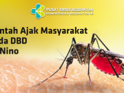 자카르타, 우기 맞이 슈퍼 플루 및 뎅기열 위협 경보