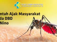 자카르타, 우기 맞이 슈퍼 플루 및 뎅기열 위협 경보