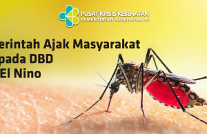 엘니뇨에 뎅기열 ‘비상’…사망자 작년대비 3배로 급증