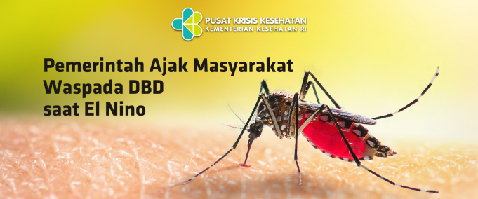 엘니뇨에 뎅기열 ‘비상’…사망자 작년대비 3배로 급증