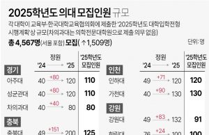 대입 8일부터 재외국민 특별전형 시작 12개 의과대학 29명 모집