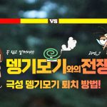 3M 캠페인’과 ‘볼바키아 프로젝트