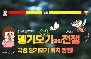 ‘3M 캠페인’과 ‘볼바키아 프로젝트 (Wolbachia Project)’를 아시나요?