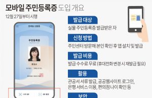 재외국민, 인증용 휴대전화 없어도 된다…비대면 신원확인