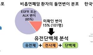 KIST “치료 표적 없는 비흡연 폐암, 새 치료 표적 발굴”