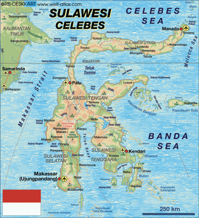 캄차카반도 강진에 북 술라웨시에 쓰나미 경보·대피령