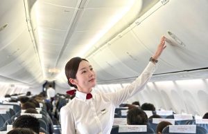 이스타항공, 7월부터 일부 국제노선 개·고양이 기내반입 허용