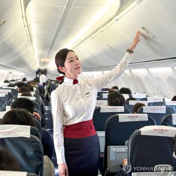 이스타항공, 7월부터 일부 국제노선 개·고양이 기내반입 허용