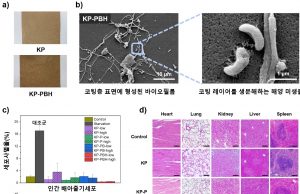 바다에서도 최대 82% 생분해되는 종이 포장재 개발