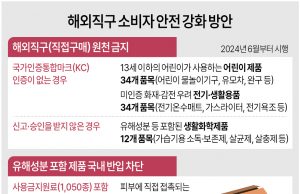세계는 직구단속 수화물 단속 강화하는데…中 “전자상거래 수출 강화”