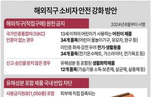 해외직구-소비자-안전-강화-방안-640×1147