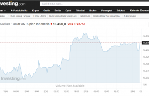 루피아 약세 언제까지…”수입에 선별적 조치를”